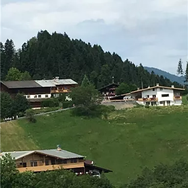 Eine malerische Landschaft mit traditionellen Gebäuden, umgeben von Bergen und Bäumen. Der Himmel ist bewölkt und die Wiesen sind grün.