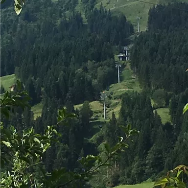 Eine grüne Berglandschaft mit dichten Wäldern. In der Mitte sind Skilifte zu sehen, die sanft den Hang hinauf führen.