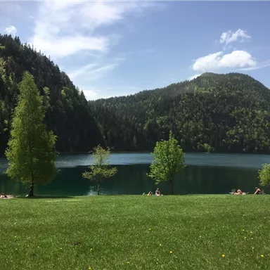 Ein ruhiger See umgeben von grünen Hügeln und Bäumen. Menschen entspannen im Gras am Ufer.