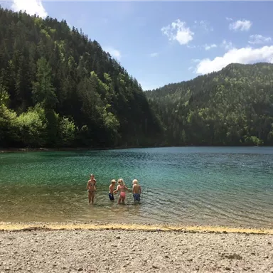 Ein klarer See umgeben von hohen Bäumen. Einige Personen stehen am Ufer und genießen das Wasser.