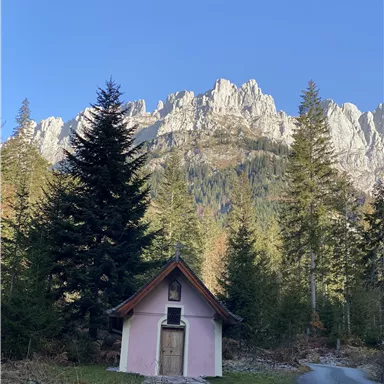 A small pink cabin stands at the edge of a forest with tall, green fir trees. In the background, majestic mountains and a blue sky can be seen.