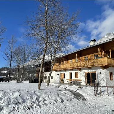 Ein charmantes Holzhaus in einer verschneiten Landschaft. Der klare blaue Himmel und die schneebedeckten Bäume verleihen der Szene eine märchenhafte Atmosphäre.