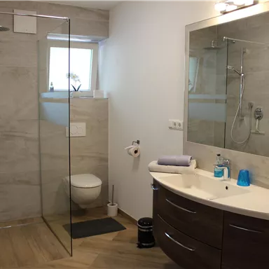 A modern bathroom with a glass shower cabin and wooden floor. There is an elegant sink area with a large mirror.