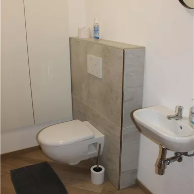 A modern bathroom with a toilet and a small sink. The floor is laid with wood-look tiles and the walls are light.