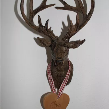 A mounted deer antler head, adorned with a heart-shaped wooden plaque. The plaque bears the inscription “Moin” and is decorated with a checkered ribbon.