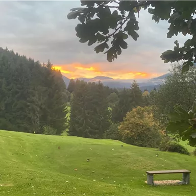 A peaceful landscape with green meadows and tall trees. The sunset colors the sky in orange and pink tones.