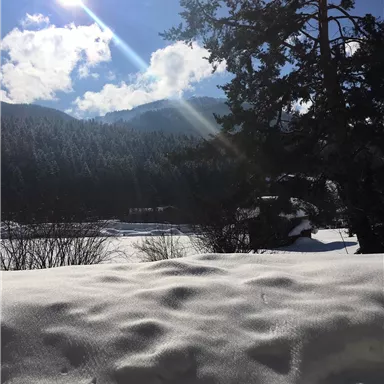 A winter landscape with a snow-covered ground and radiant sunshine. In the background, mountains and forests can be seen.