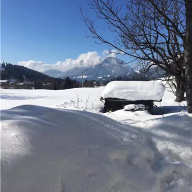 A snowy landscape with a small wooden house and mountains in the background. The sky is clear and blue.