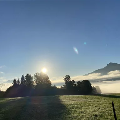 A sunny morning over a foggy valley. In the background, a mountain silhouette is outlined.