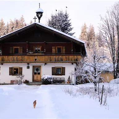 Ein charmantes, schneebedecktes Haus umgeben von winterlicher Landschaft. Bäume und eine ruhige Atmosphäre verleihen dem Bild eine idyllische Stimmung.