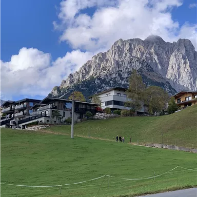 A picturesque landscape with a large mountain in the background and modern buildings in the foreground. The sky is blue with some clouds and the meadow is green.