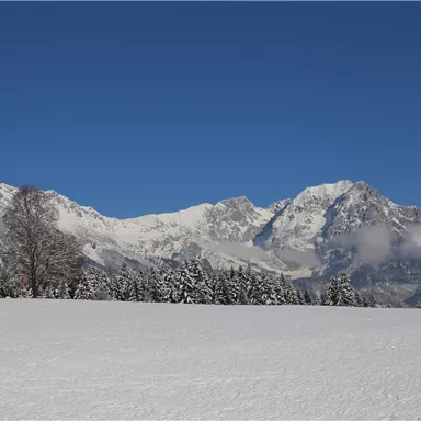 A clear winter landscape with snow-covered mountains and a blue sky. There are a few trees visible in the foreground.