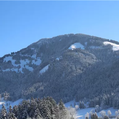 A snow-covered mountain under a clear blue sky. The landscape is calm and wintry.