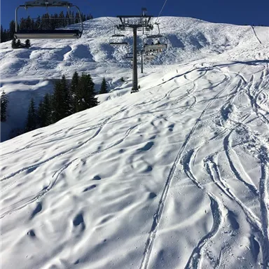 Eine schneebedeckte Piste mit Skispuren und einem Skilift im Hintergrund. Der klare blaue Himmel ergänzt die winterliche Landschaft.