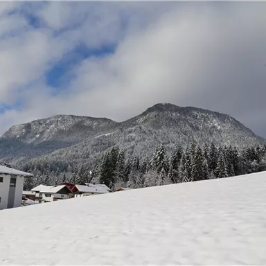 A snow-covered landscape with a large mountain in the background. In the foreground, there is a house and there are trees covered in snow.