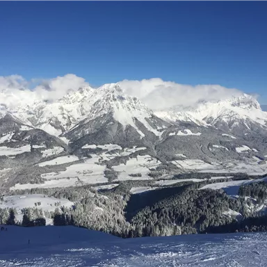 An impressive winter mountain landscape with snow-covered peaks and a clear blue sky. The expansive view shows gentle hills and forests blanketed in snow.