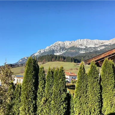 A beautiful view of the mountains with clear blue sky. Green trees frame the landscape.