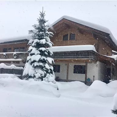A beautiful wooden house amid deep snow. Tall snow-covered pine trees surround the building.