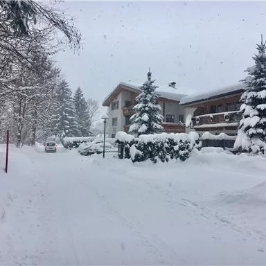 A snow-covered street with houses and tall, snow-laden trees. The sky is gray and it is snowing lightly.