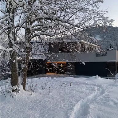 A modern house in the snow, surrounded by snow-covered trees. The landscape is peaceful and wintry.