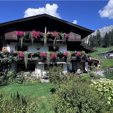 Ein schönes Holzhaus mit blühenden Balkonpflanzen. Im Hintergrund sind grüne Wiesen und Berge sichtbar.