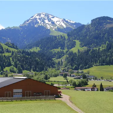 A beautiful landscape with green hills and snow-capped mountains in the background. In the foreground, there is a farm under a clear blue sky.