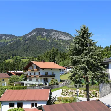 A picturesque landscape with traditional houses and high mountains in the background. The sky is clear and blue, the green of the trees and meadows is magnificent.