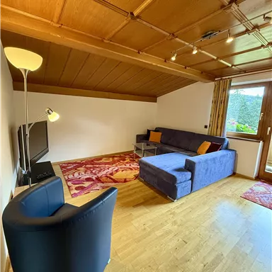 A cozy living room with a blue sofa and a television. The room has a warm wood design and plenty of natural light.