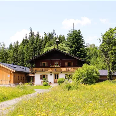 Ein schönes Haus inmitten einer grünen Wiese umgeben von Bäumen. Die Sonne scheint und der Himmel ist klar.