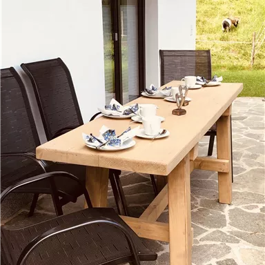 Ein schöner Tisch im Freien, vorbereitet für eine Mahlzeit. Daneben stehen schwarze Stühle und im Hintergrund sieht man eine grüne Wiese.