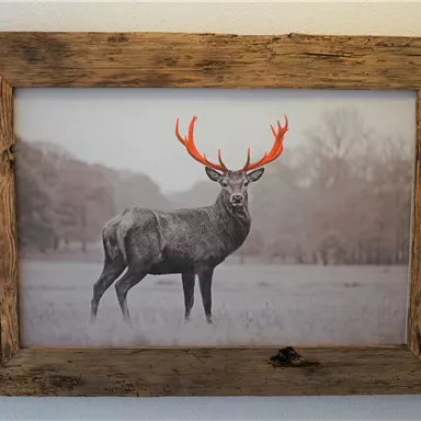 A deer with bright red antlers stands in a gray landscape. The frame is made of rustic wood.
