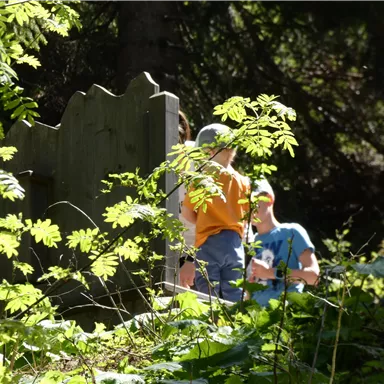 Two children are standing in a forest area behind a wooden fence. Surrounded by green plants, they are enjoying nature.