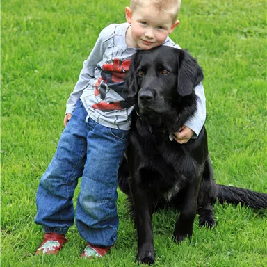 Ein Junge umarmt einen schwarzen Hund auf einer grünen Wiese. Sie scheinen glücklich und freundlich zu sein.