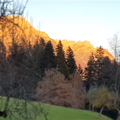 A picturesque mountain landscape with orange peaks illuminated by the evening sun. In the foreground, green meadows and scattered trees can be seen.