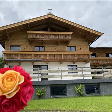 A modern wooden house with several balconies and a large lawn. In the foreground are colorful roses that adorn the picture.