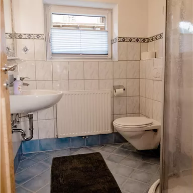 A small, bright bathroom with a shower, a sink, and a toilet. The floor is tiled in blue and a black carpet is on the floor.