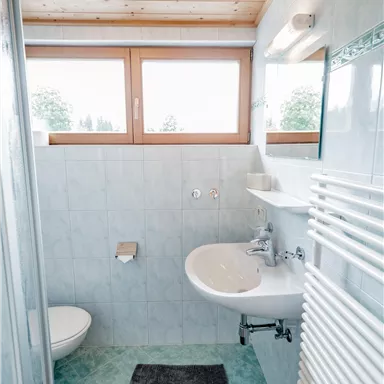 A modern bathroom with large windows and a bright wooden ceiling. It includes a shower, a sink, and a toilet.