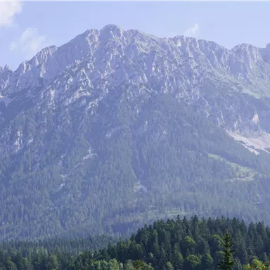 An impressive mountain with snow-covered peaks and lush green forests. The sky is clear and radiant blue.