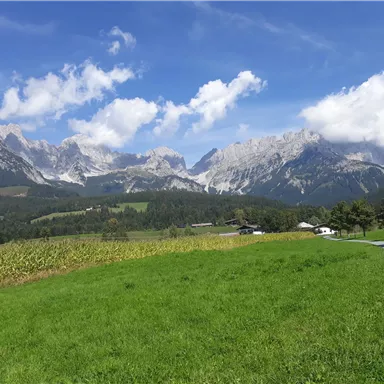 Eine malerische Landschaft mit majestätischen Bergen und einem klaren Himmel. Im Vordergrund erstreckt sich eine grüne Wiese und ein Weg führt in die Ferne.