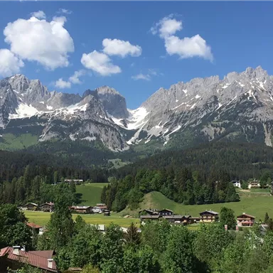 Eine beeindruckende Berglandschaft mit schneebedeckten Gipfeln und saftigem Grün im Vordergrund. Einige malerische Häuser liegen zwischen Wäldern und Wiesen.