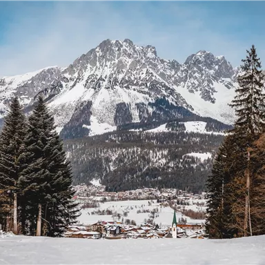 A snow-covered landscape with majestic mountains in the background. In the foreground, tall coniferous trees stand, and a small village is visible in the valleys.