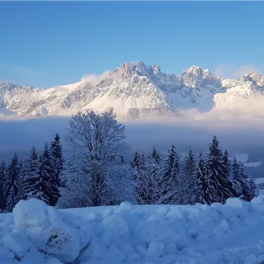 An impressive winter landscape with snow-covered mountains and a blue sky. In the foreground, there are snow-covered trees and a gentle blanket of snow.