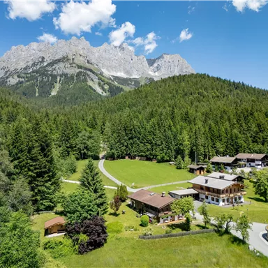A picturesque landscape with green forests and majestic mountains in the background. In the foreground, several charming houses stand on a quiet meadow.