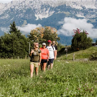 A group of four hikers is walking through a green meadow. In the background, majestic mountains and a blue sky can be seen.