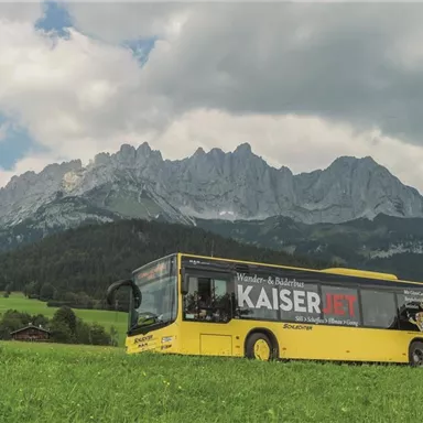 Ein gelber Bus fährt durch eine grüne Wiese mit majestätischen Bergen im Hintergrund. Der Himmel ist bewölkt, was der Szene eine ruhige Atmosphäre verleiht.
