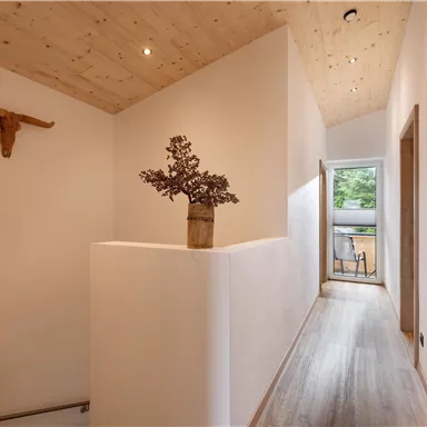 A bright hallway with wooden details and a plant in a pot. A cow horn hangs on the wall, and through the open door, you can see outside.