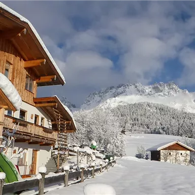 A charming wooden house in the snow, surrounded by a wintry landscape. In the background, majestic mountains and a clear blue sky are visible.
