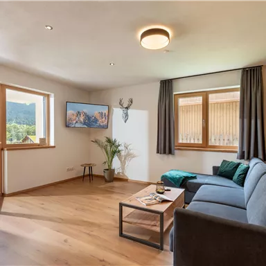 Ein modernes Wohnzimmer mit einer grauen Couch und Holzverkleidungen. Große Fenster sorgen für viel Tageslicht und einen Blick auf die Natur draußen.