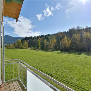 Eine grüne Wiese mit Bäumen und Bergen im Hintergrund. Der Himmel ist klar mit ein paar Wolken und strahlendem Sonnenschein.