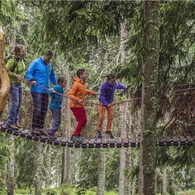 Eine Gruppe von fünf Kindern balanciert über eine Hängebrücke im Wald. Sie tragen bunte Jacken und stehen zwischen hohen Bäumen.
